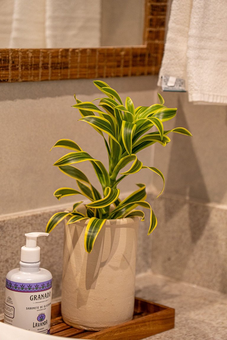 Casa Pitomba Trancoso - Where time slows down